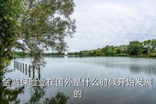 金融保險(xiǎn)業(yè)在國外是什么時(shí)候開始發(fā)展的