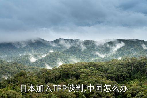 什么是tpp協(xié)議中國(guó)怎么應(yīng)對(duì)