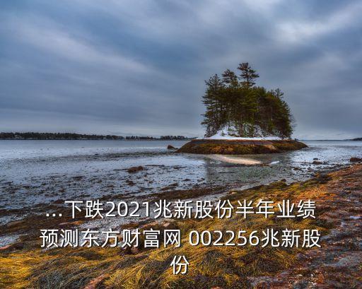 ...下跌2021兆新股份半年業(yè)績預(yù)測東方財(cái)富網(wǎng) 002256兆新股份