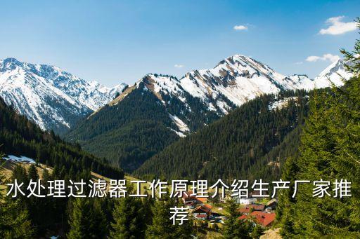 水處理過濾器工作原理介紹生產廠家推薦