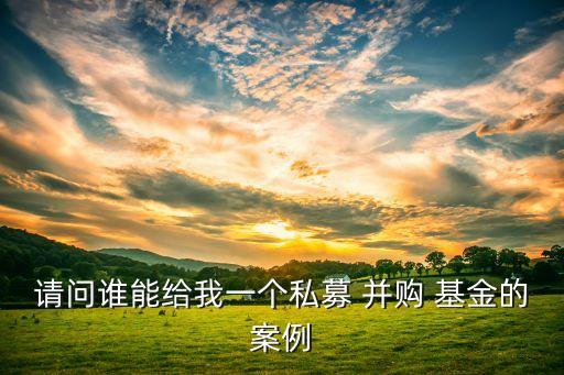 請問誰能給我一個(gè)私募 并購 基金的案例