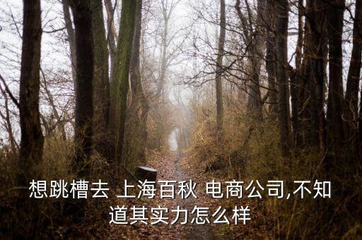 想跳槽去 上海百秋 電商公司,不知道其實(shí)力怎么樣
