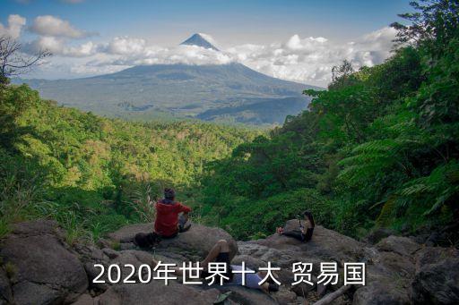 2020年世界十大 貿易國