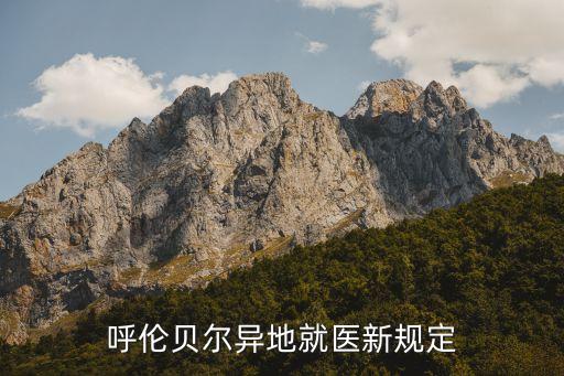 提高醫(yī)?；鹕暾?qǐng),醫(yī)院申請(qǐng)?jiān)黾俞t(yī)?；痤~度報(bào)告
