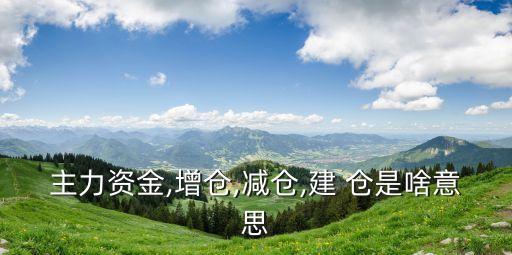 主力資金,增倉(cāng),減倉(cāng),建 倉(cāng)是啥意思