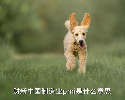 財(cái)新中國(guó)制造業(yè)pmi是什么意思