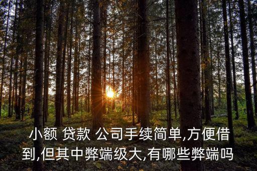 小額貸款公司缺點