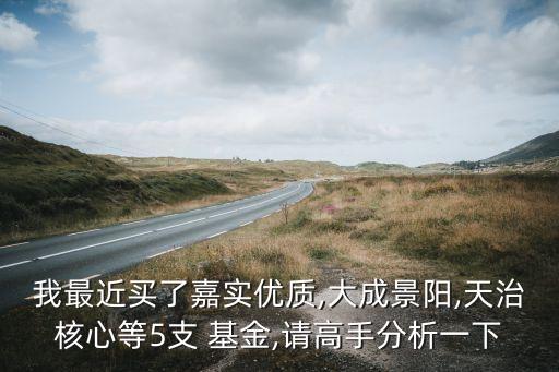 我最近買了嘉實(shí)優(yōu)質(zhì),大成景陽,天治核心等5支 基金,請(qǐng)高手分析一下