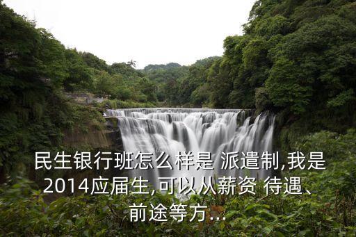  民生銀行班怎么樣是 派遣制,我是2014應屆生,可以從薪資 待遇、前途等方...