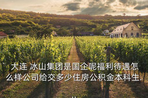 大連冰山金屬技術有限公司