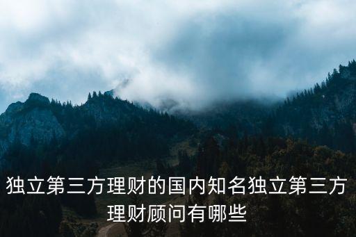 獨(dú)立第三方理財(cái)?shù)膰?guó)內(nèi)知名獨(dú)立第三方理財(cái)顧問有哪些