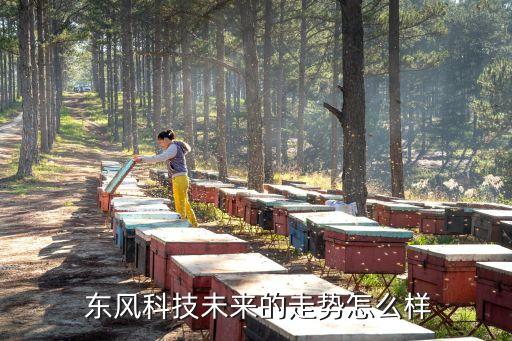  東風科技未來的走勢怎么樣