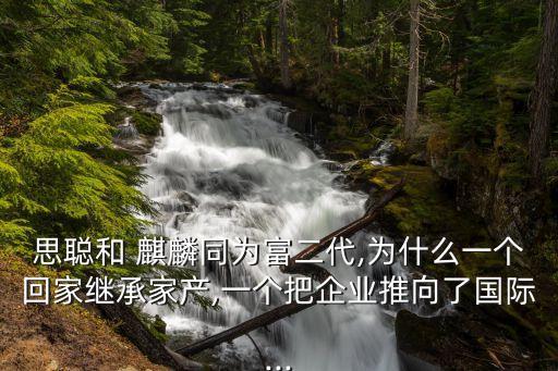 思聰和 麒麟同為富二代,為什么一個(gè)回家繼承家產(chǎn),一個(gè)把企業(yè)推向了國(guó)際...