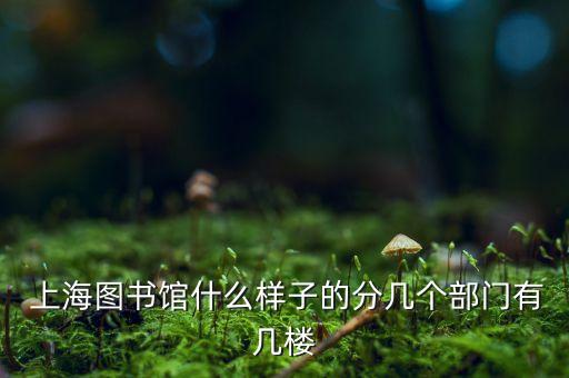  上海圖書(shū)館什么樣子的分幾個(gè)部門有幾樓
