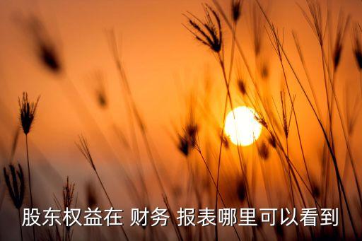股東權(quán)益在 財(cái)務(wù) 報(bào)表哪里可以看到