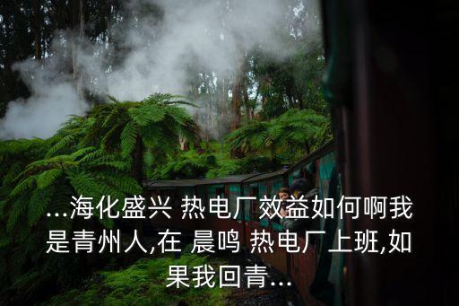 ...?；⑴d 熱電廠效益如何啊我是青州人,在 晨鳴 熱電廠上班,如果我回青...
