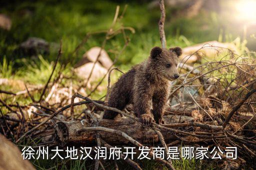  徐州大地漢潤(rùn)府開(kāi)發(fā)商是哪家公司