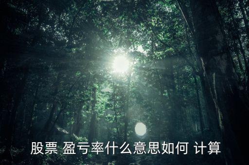 股票盈虧比例計算公式,伙食費盈虧比例計算公式