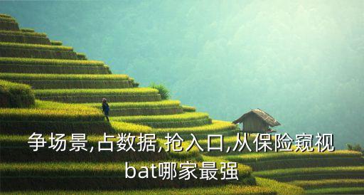爭場景,占數(shù)據(jù),搶入口,從保險窺視bat哪家最強(qiáng)