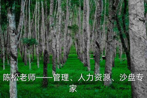 陳松老師——管理、人力資源、沙盤專家