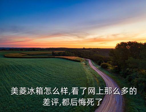  美菱冰箱怎么樣,看了網(wǎng)上那么多的差評(píng),都后悔死了
