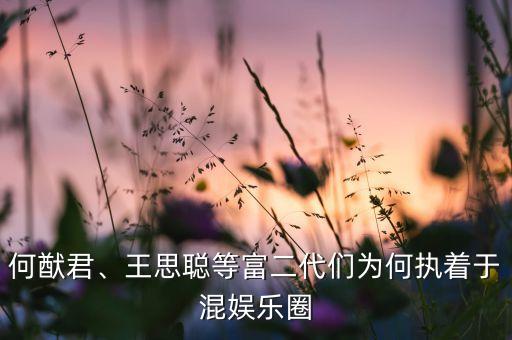 何猷君、王思聰?shù)雀欢鷤優(yōu)楹螆?zhí)著于混娛樂圈