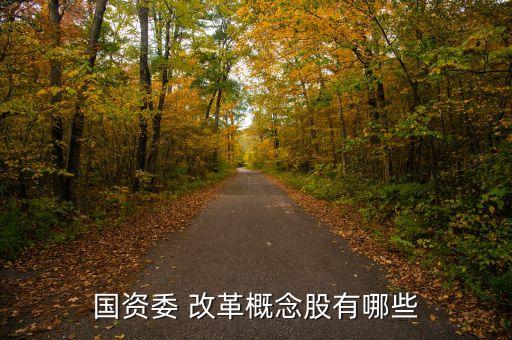 吉林省國(guó)企改革股票,英大國(guó)企改革主題股票怎么樣