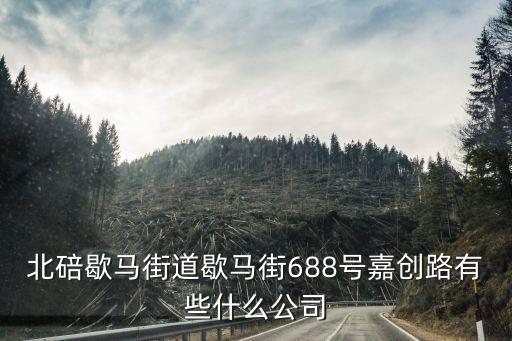 北碚歇馬街道歇馬街688號(hào)嘉創(chuàng)路有些什么公司