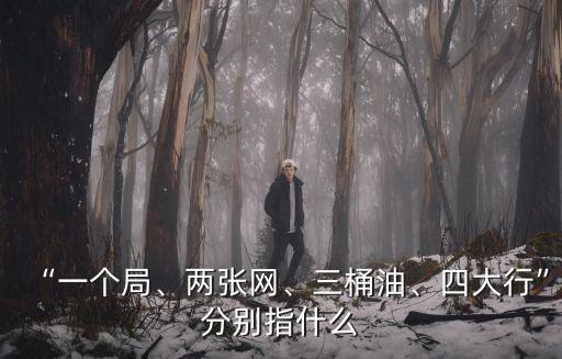 “一個局、兩張網(wǎng)、三桶油、四大行”分別指什么