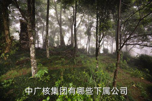 中廣核集團有哪些下屬公司