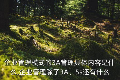 企業(yè)管理模式的3A管理具體內(nèi)容是什么,企業(yè)管理除了3A、5s還有什么