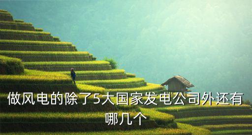 做風(fēng)電的除了5大國家發(fā)電公司外還有哪幾個(gè)
