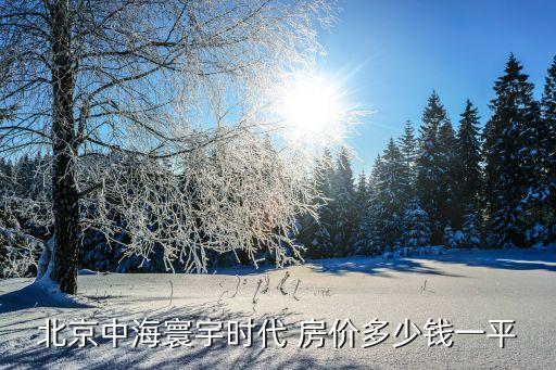 北京中海寰宇時(shí)代 房價(jià)多少錢一平