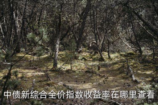 中債新綜合全價指數收益率在哪里查看