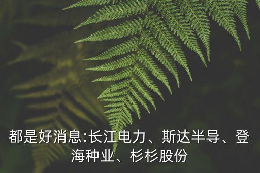 都是好消息:長(zhǎng)江電力、斯達(dá)半導(dǎo)、登海種業(yè)、杉杉股份