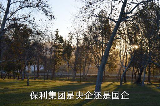 保利集團是央企還是國企