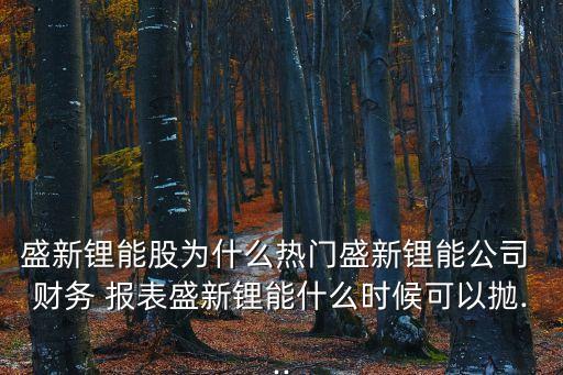 上海致遠綠色能源公司財務報表