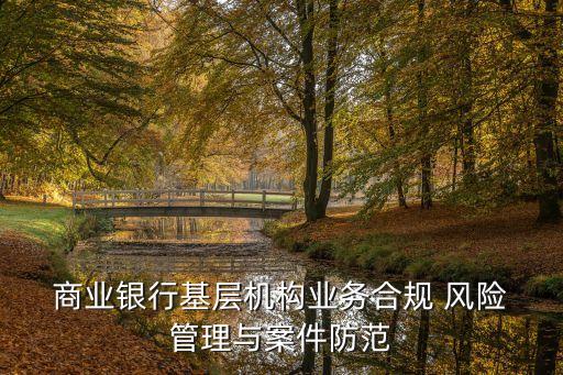  商業(yè)銀行基層機構(gòu)業(yè)務(wù)合規(guī) 風(fēng)險 管理與案件防范