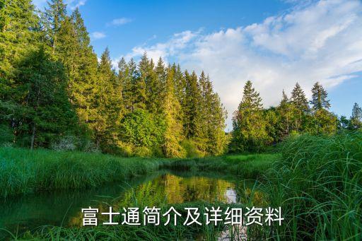  富士通簡(jiǎn)介及詳細(xì)資料