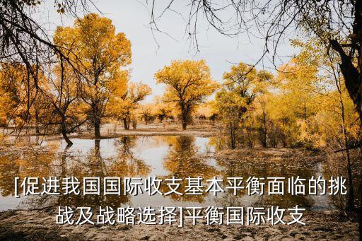 [促進(jìn)我國(guó)國(guó)際收支基本平衡面臨的挑戰(zhàn)及戰(zhàn)略選擇]平衡國(guó)際收支