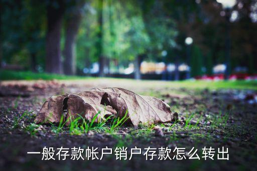 一般存款帳戶銷(xiāo)戶存款怎么轉(zhuǎn)出