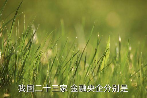 我國二十三家 金融央企分別是