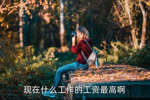 中國(guó)哪個(gè)行業(yè)收入最高,哪個(gè)行業(yè)應(yīng)該有最高的收入英語作文