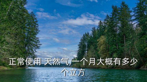 中國2015年天然氣消耗量