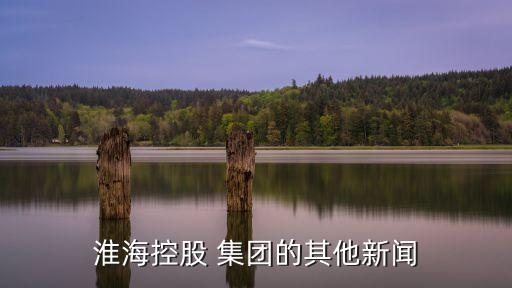 淮?？毓?集團(tuán)的其他新聞