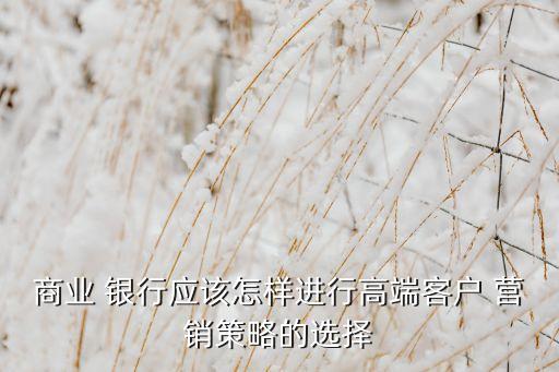 商業(yè) 銀行應(yīng)該怎樣進(jìn)行高端客戶 營銷策略的選擇