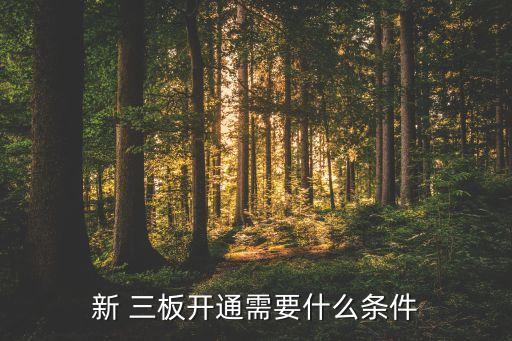 新 三板開(kāi)通需要什么條件