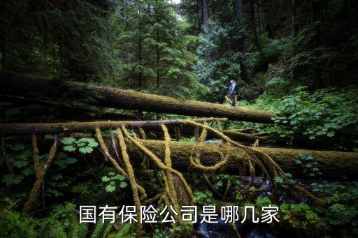 中國(guó)信保第一營(yíng)業(yè)部