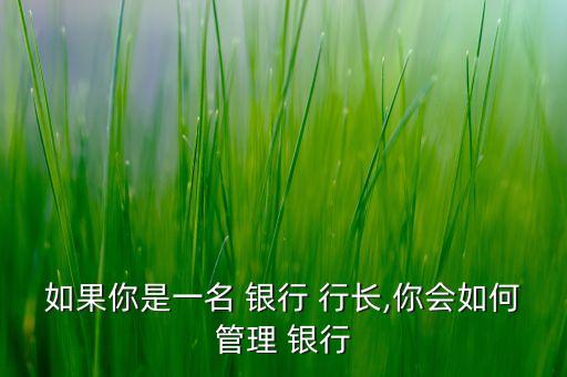 如果你是一名 銀行 行長(zhǎng),你會(huì)如何管理 銀行