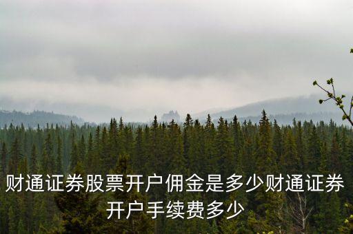 財(cái)通證券股票開(kāi)戶傭金是多少財(cái)通證券開(kāi)戶手續(xù)費(fèi)多少